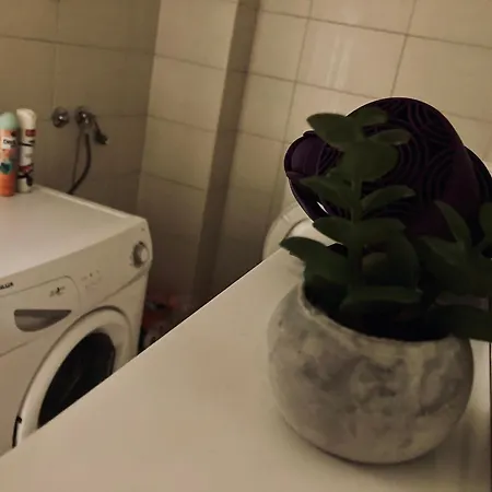 Apartment Mila